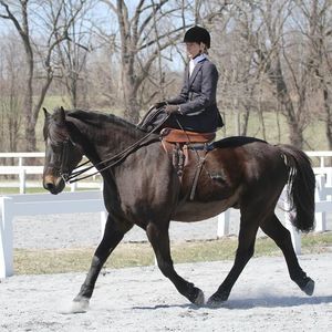 Meet your Posher, Carla